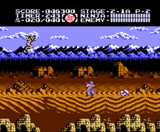 Ninja Gaiden III: The Ancient Ship of Doom
